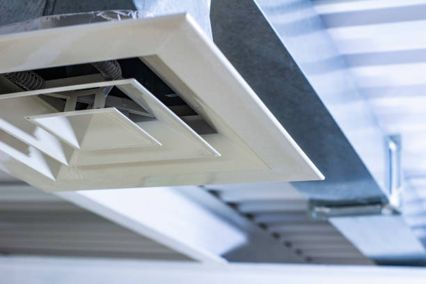 Best Local Air Duct Cleaning Services  in Rosita, TX